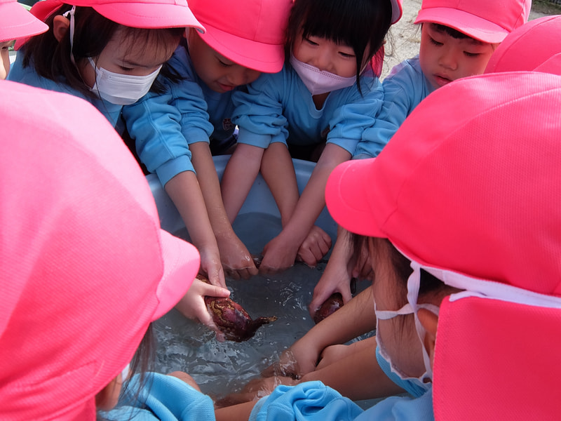 みんなであらおう