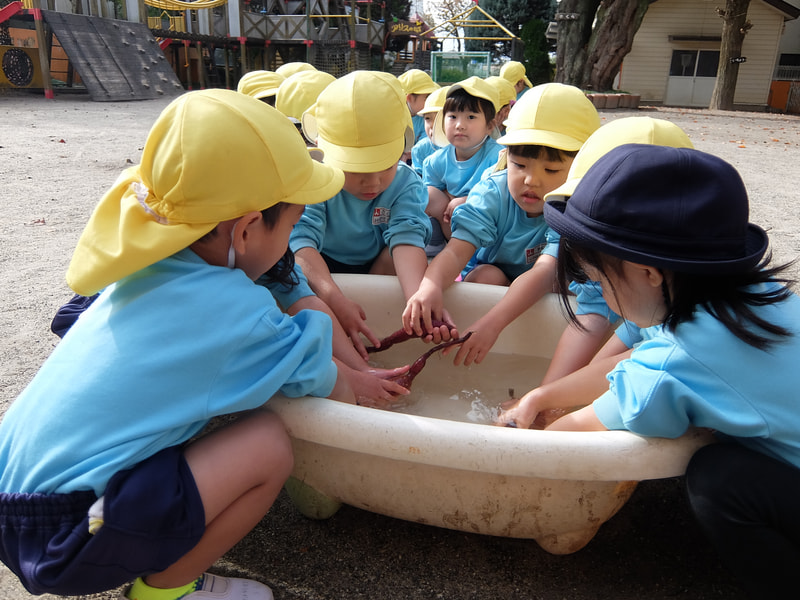 おいもをきれいにしよう