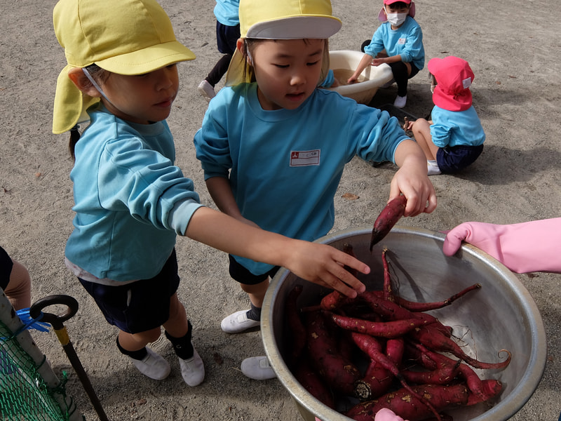 きれいになったよ