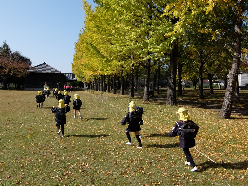 黄色い葉っぱがきれい