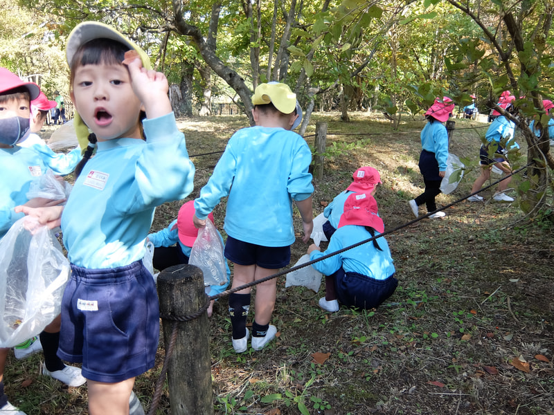 きれいな色だよ