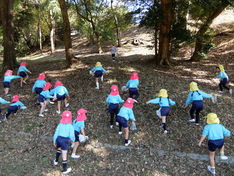 木の実を見付けよう