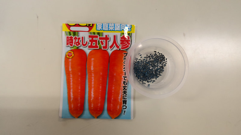 たねをまいたのは、5月だったね