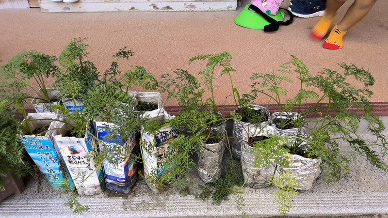 おおきくなったね