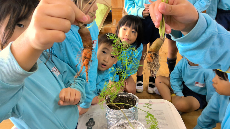 ニンジン、できたよ