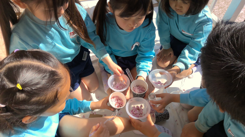 サクラカフェだよ