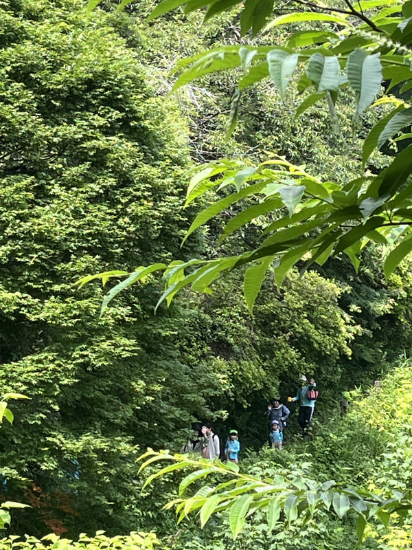 やっほー がんばってぇ