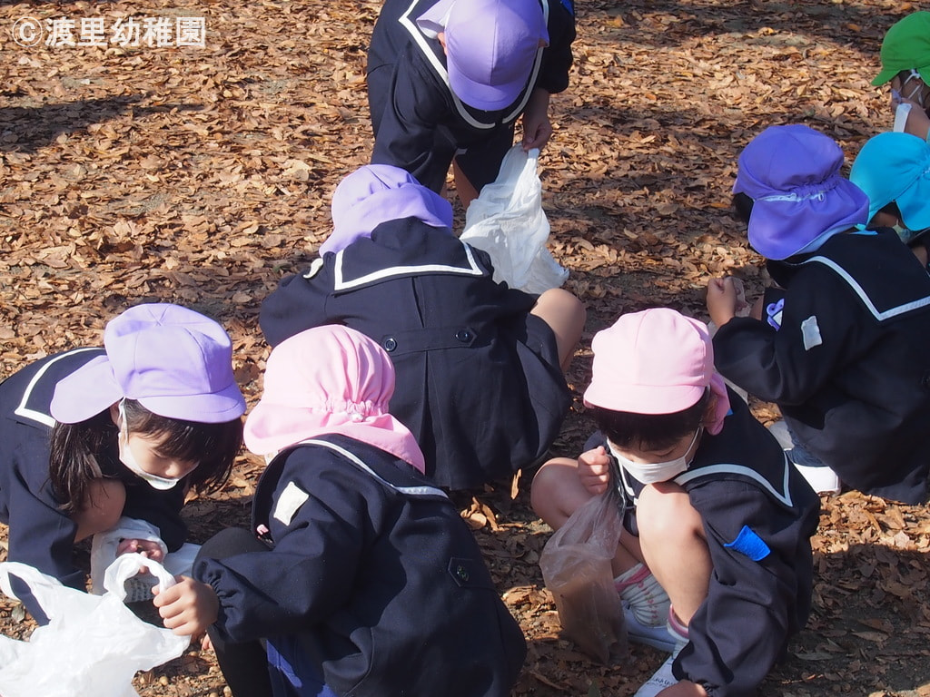 落ち葉の下にあるものは…なにが見つかったかな。