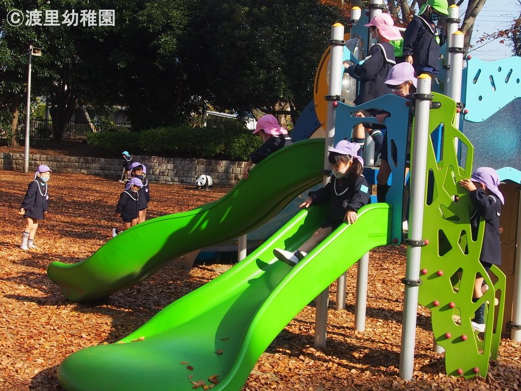 石垣の間になにやら発見。友達とないしょないしょのお話し中です。