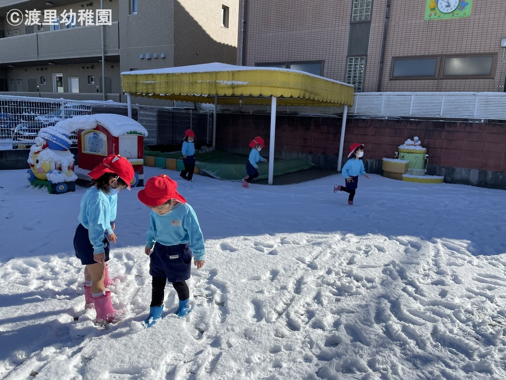 白くてきれいだね