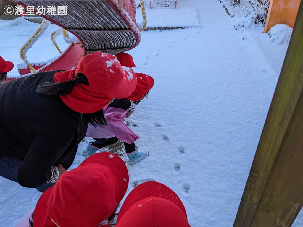 足あと発見